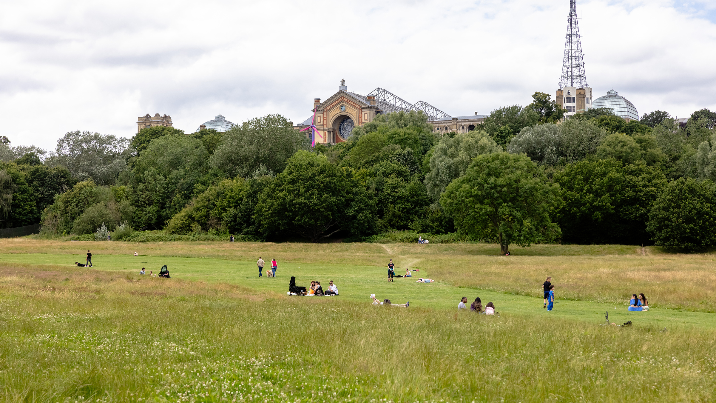 Dixon Gardens N8